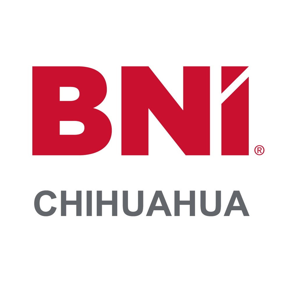 Pluma Bic KIT BNI 2020